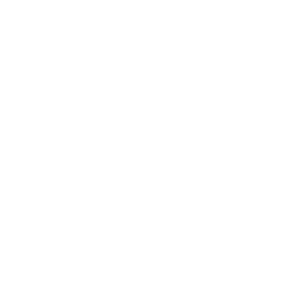 Conexão Maringá